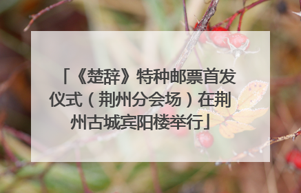 《楚辞》特种邮票首发仪式（荆州分会场）在荆州古城宾阳楼举行