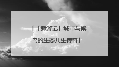 「狮游记」城市与候鸟的生态共生传奇