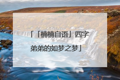 「楠楠自语」四字弟弟的如梦之梦