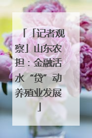「记者观察」山东农担：金融活水“贷”动养殖业发展