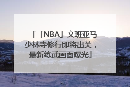 「NBA」文班亚马少林寺修行即将出关，最新练武画面曝光