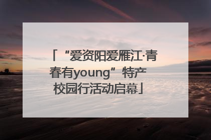 “爱资阳爱雁江·青春有young”特产校园行活动启幕