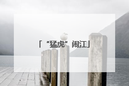“猛虎”闹江