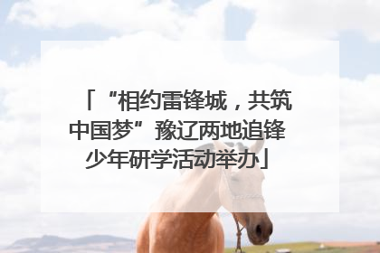 “相约雷锋城，共筑中国梦”豫辽两地追锋少年研学活动举办