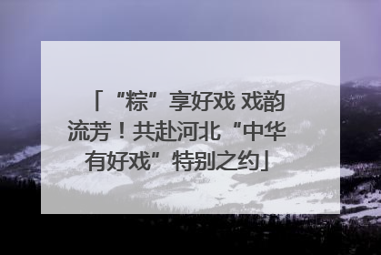 “粽”享好戏 戏韵流芳！共赴河北“中华有好戏”特别之约