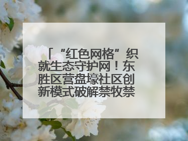 “红色网格”织就生态守护网！东胜区营盘壕社区创新模式破解禁牧禁垦难题
