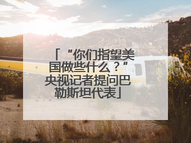 “你们指望美国做些什么？”央视记者提问巴勒斯坦代表