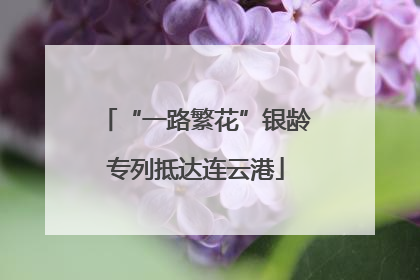 “一路繁花”银龄专列抵达连云港