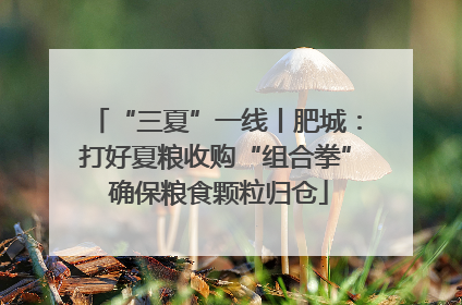 “三夏”一线丨肥城：打好夏粮收购“组合拳” 确保粮食颗粒归仓