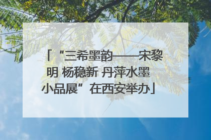 “三希墨韵——宋黎明 杨稳新 丹萍水墨小品展”在西安举办