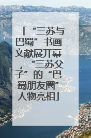 “三苏与巴蜀”书画文献展开幕，“三苏父子”的“巴蜀朋友圈”人物亮相