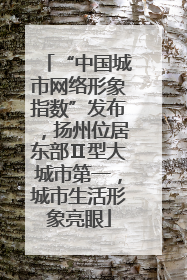 “中国城市网络形象指数”发布，扬州位居东部Ⅱ型大城市第一，城市生活形象亮眼