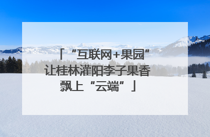 “互联网+果园”让桂林灌阳李子果香飘上“云端”