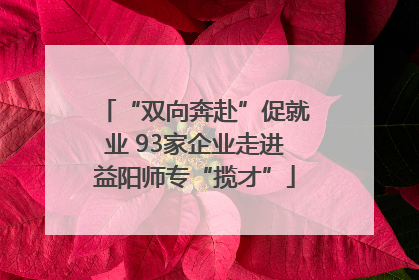 “双向奔赴”促就业 93家企业走进益阳师专“揽才”
