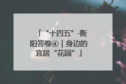 “十四五”·衡阳答卷④｜身边的宜居“花园”