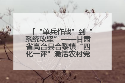 “单兵作战”到“系统攻坚”——甘肃省高台县合黎镇“四化一评”激活农村党员管理新引擎