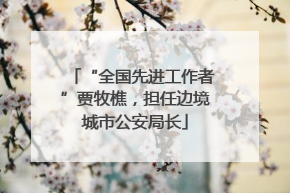 “全国先进工作者”贾牧樵，担任边境城市公安局长
