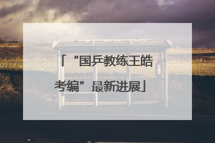 “国乒教练王皓考编”最新进展