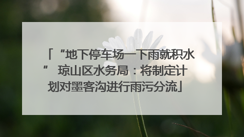“地下停车场一下雨就积水” 琼山区水务局：将制定计划对墨客沟进行雨污分流