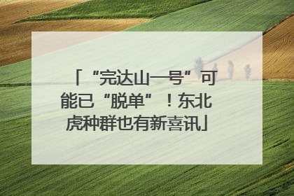 “完达山一号”可能已“脱单”！东北虎种群也有新喜讯