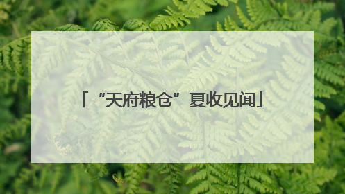 “天府粮仓”夏收见闻