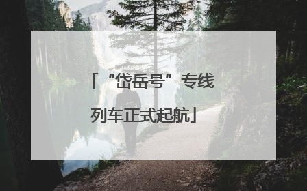 “岱岳号”专线列车正式起航