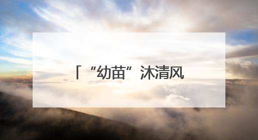 “幼苗”沐清风！这群幼儿毕业典礼献“红心”