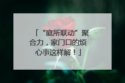 “庭所联动”聚合力，家门口的烦心事这样解！