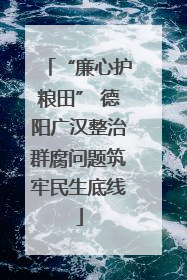“廉心护粮田” 德阳广汉整治群腐问题筑牢民生底线