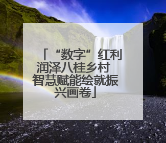 “数字”红利润泽八桂乡村 智慧赋能绘就振兴画卷