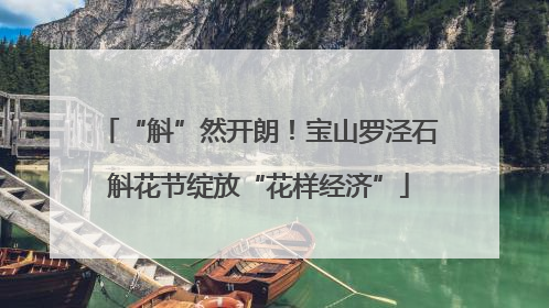 “斛”然开朗！宝山罗泾石斛花节绽放“花样经济”
