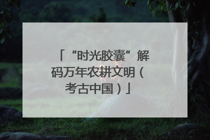 “时光胶囊”解码万年农耕文明（考古中国）