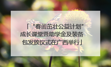 “春蕾茁壮公益计划”成长课堂暨助学金及装备包发放仪式在广西举行
