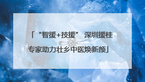“智援+技援” 深圳援桂专家助力壮乡中医焕新颜