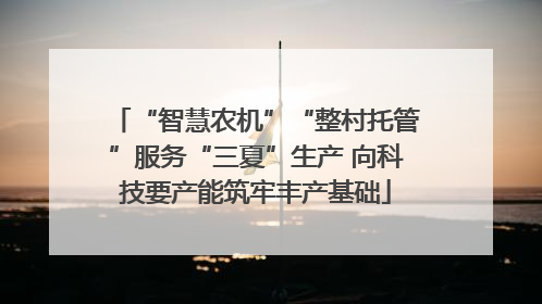 “智慧农机”“整村托管”服务“三夏”生产 向科技要产能筑牢丰产基础