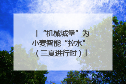 “机械城堡”为小麦智能“控水”（三夏进行时）