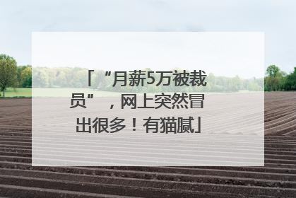 “月薪5万被裁员”，网上突然冒出很多！有猫腻