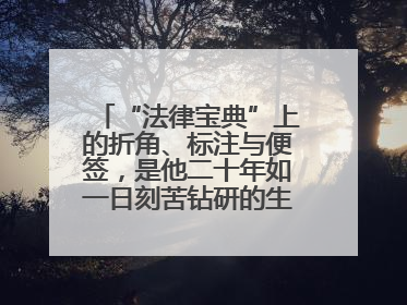 “法律宝典”上的折角、标注与便签，是他二十年如一日刻苦钻研的生动印记