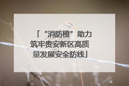 “消防橙”助力筑牢贵安新区高质量发展安全防线