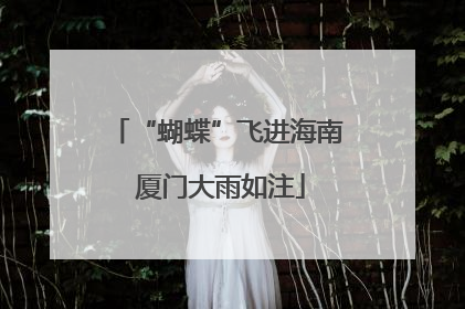“蝴蝶”飞进海南 厦门大雨如注