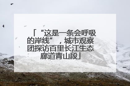 “这是一条会呼吸的岸线”，城市观察团探访百里长江生态廊道青山段