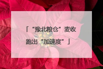 “豫北粮仓”麦收跑出“加速度”