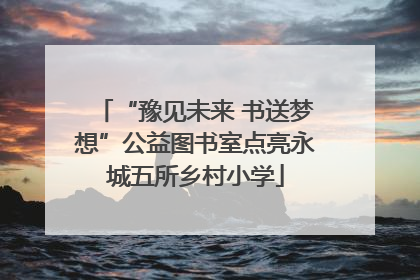 “豫见未来 书送梦想”公益图书室点亮永城五所乡村小学