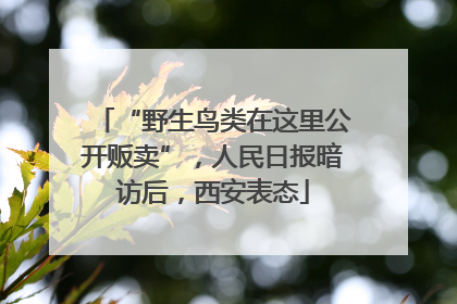 “野生鸟类在这里公开贩卖”，人民日报暗访后，西安表态