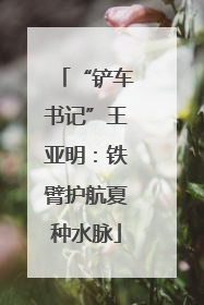 “铲车书记”王亚明：铁臂护航夏种水脉