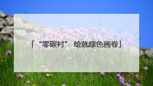“零碳村” 绘就绿色画卷