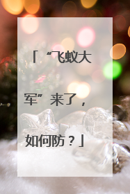 “飞蚁大军”来了，如何防？