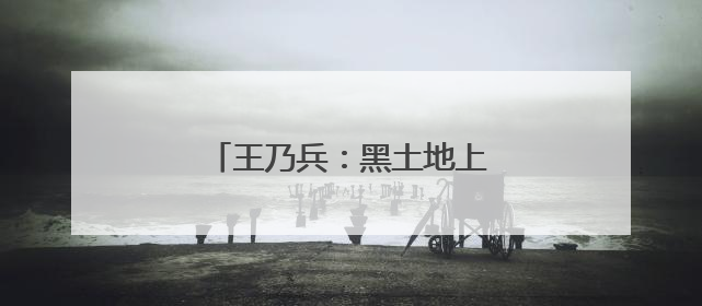 王乃兵：黑土地上“种”出红火日子