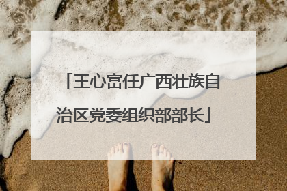 王心富任广西壮族自治区党委组织部部长