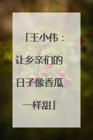 王小伟：让乡亲们的日子像香瓜一样甜